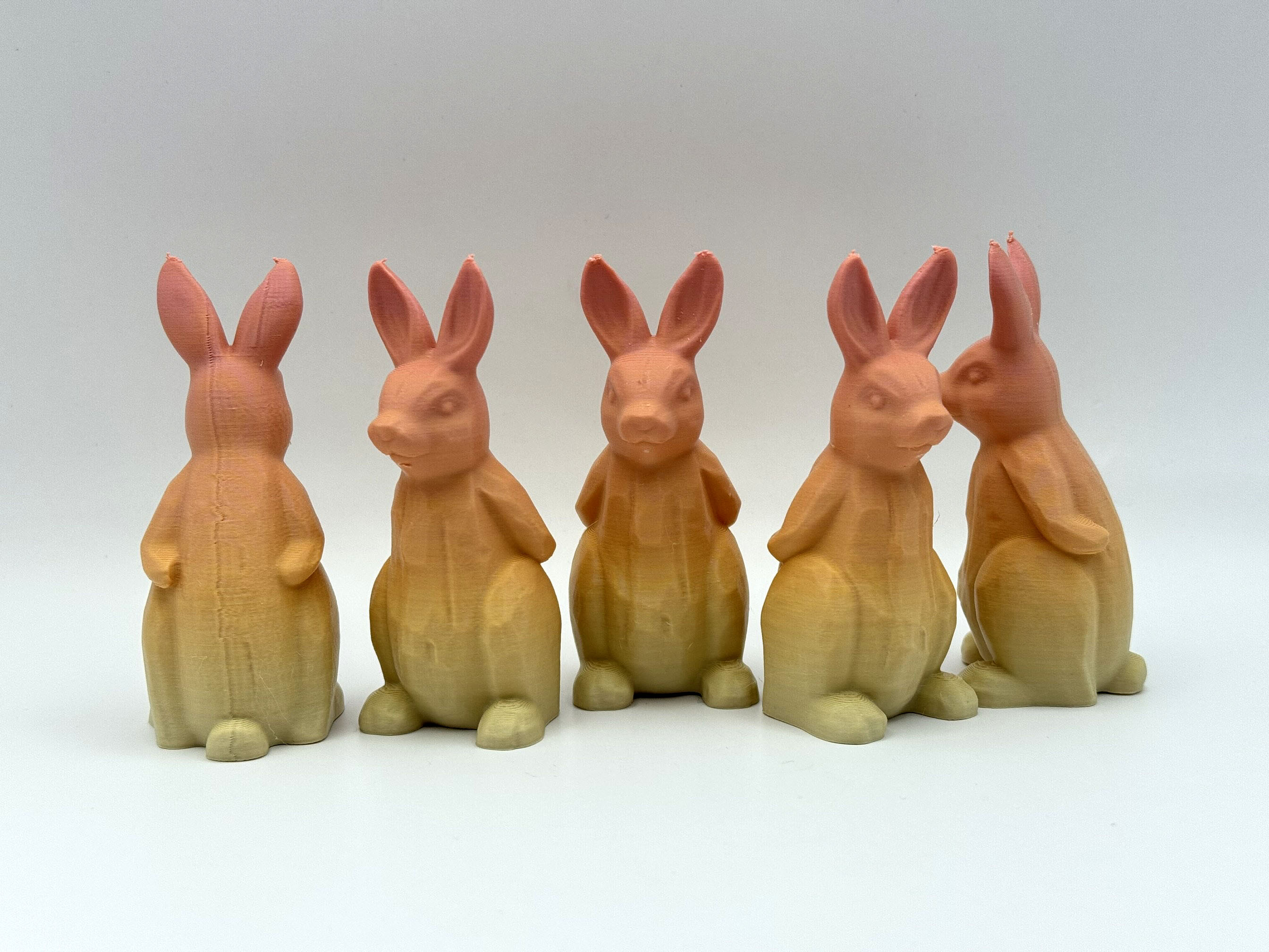 Charming Standing Bunny