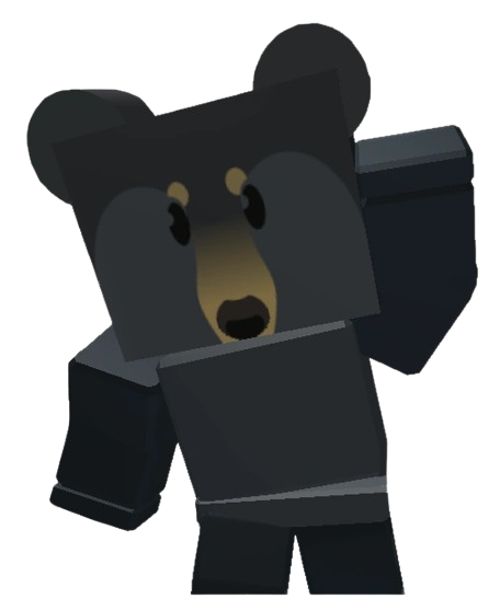 BLACK BEAR FROM BSS