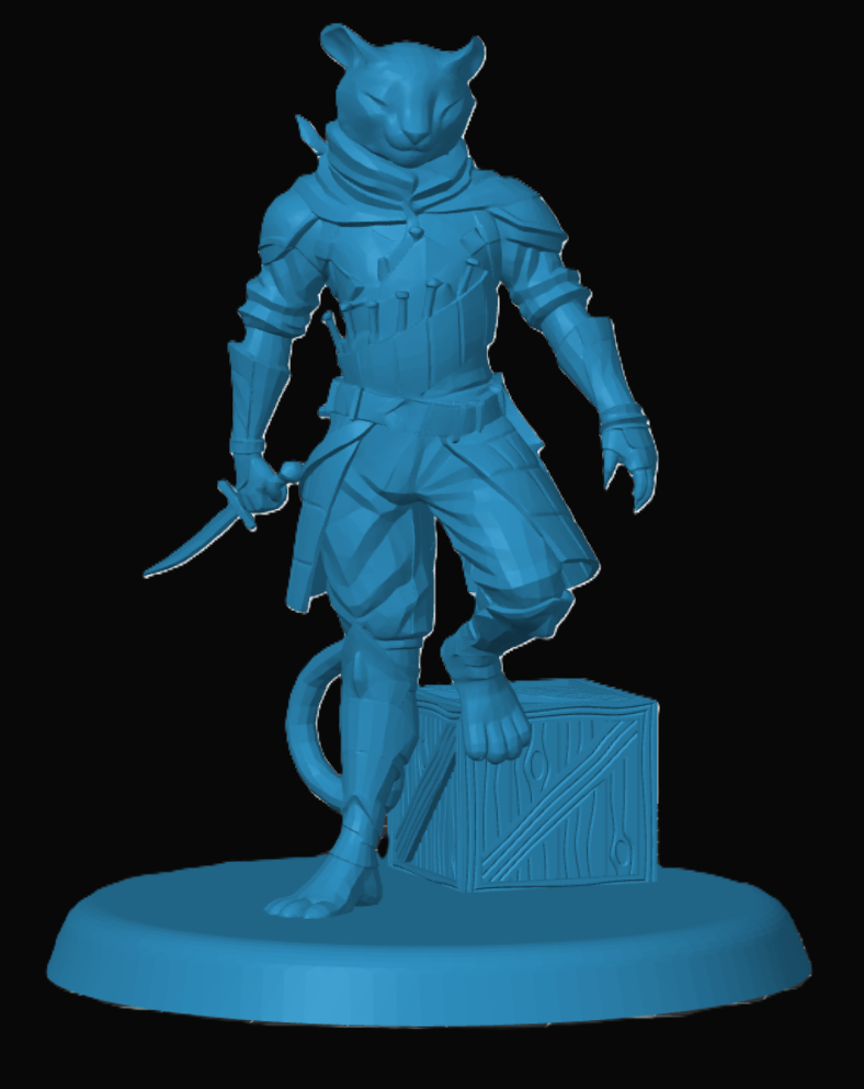 Tabaxi Rogue — miniatura 3