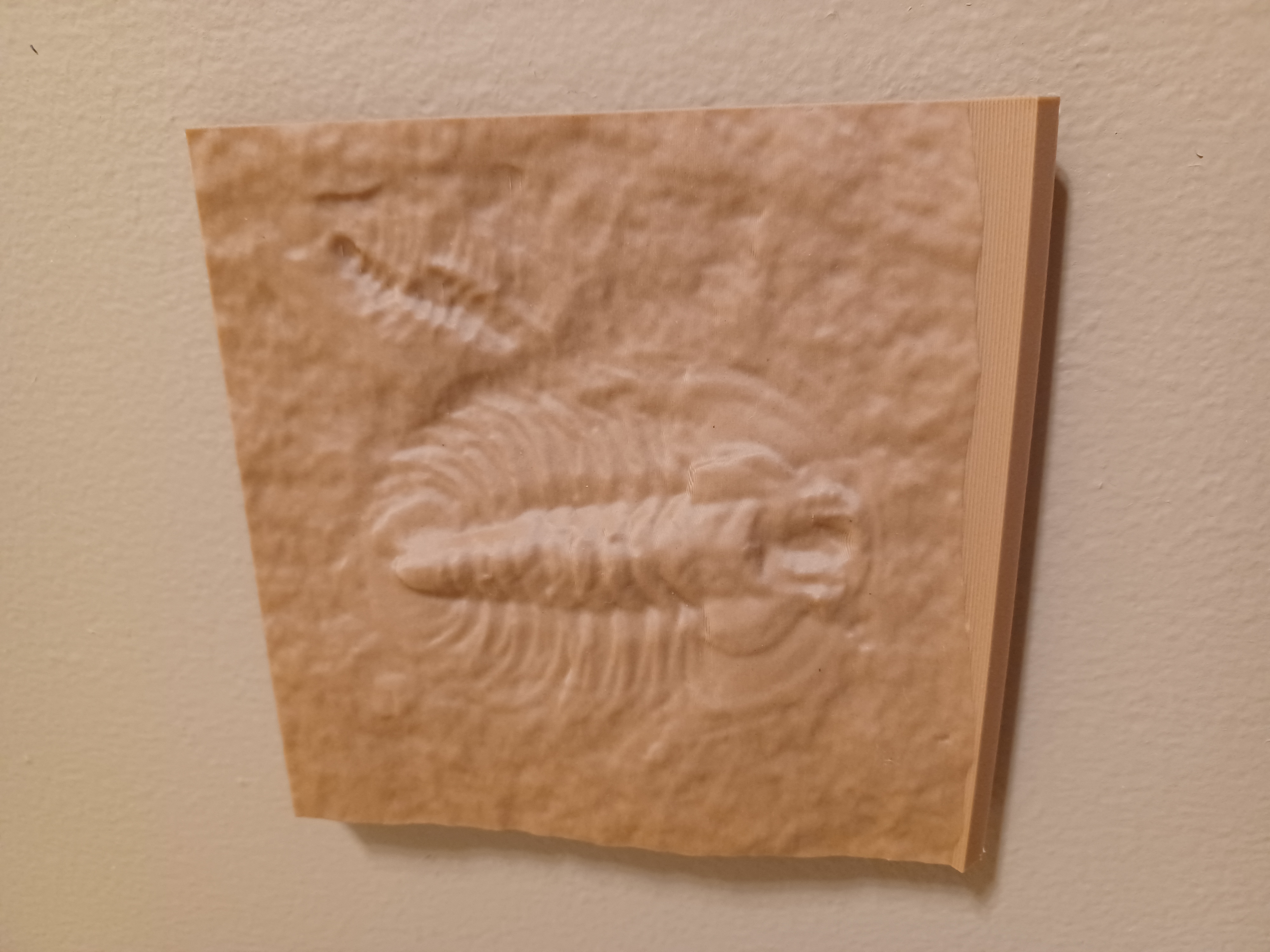 Smithsonian Trilobite Wall Art