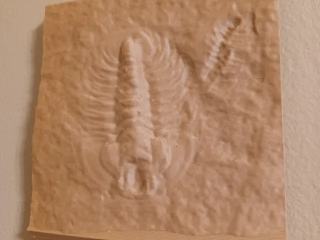 Smithsonian Trilobite Wall Art