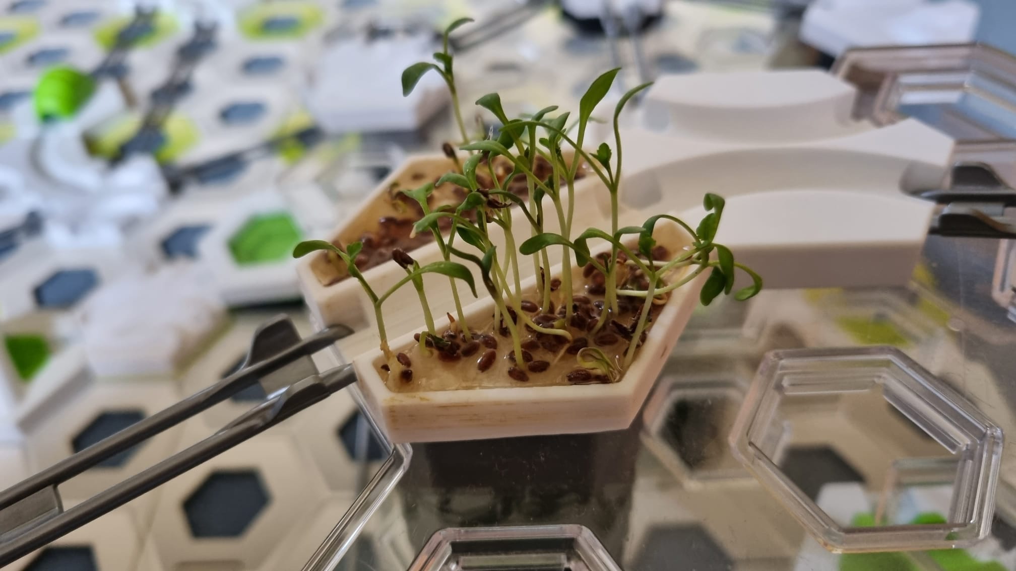 Gravitrax Seed Planter