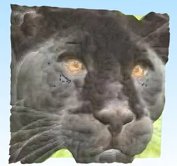 Image preview
