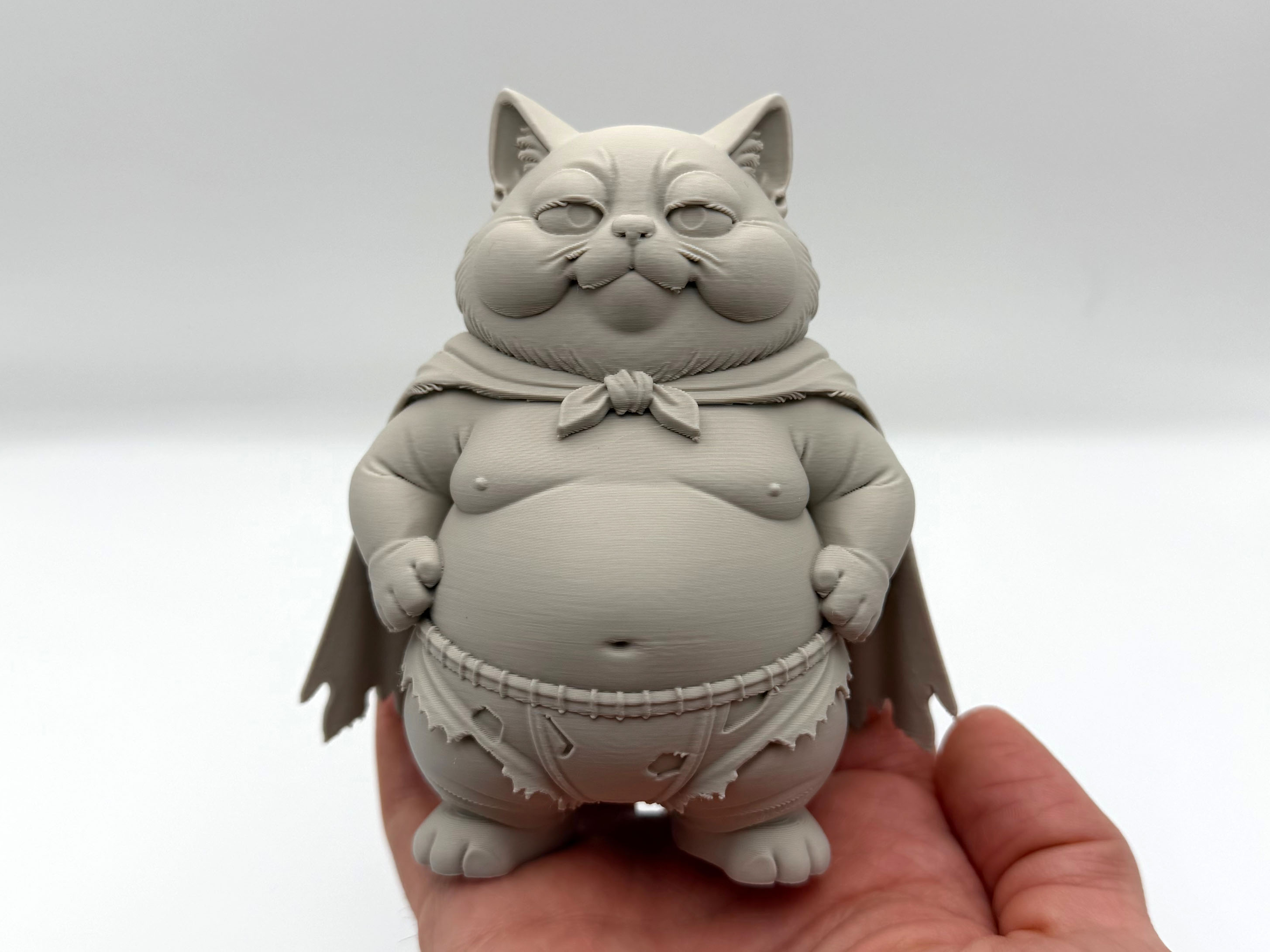 Chonky Superhero Kitten