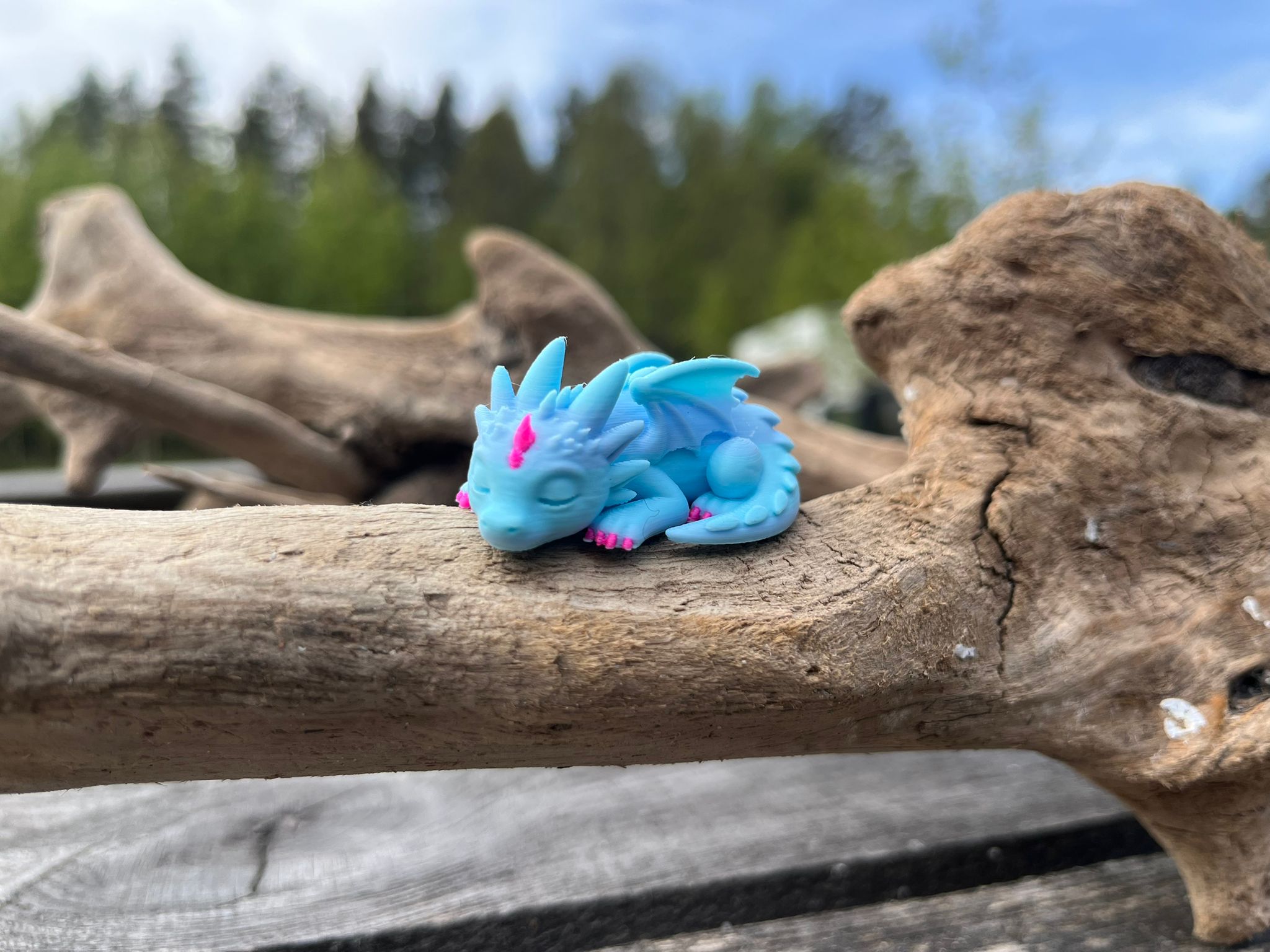 Little Baby Sleeping Dragon