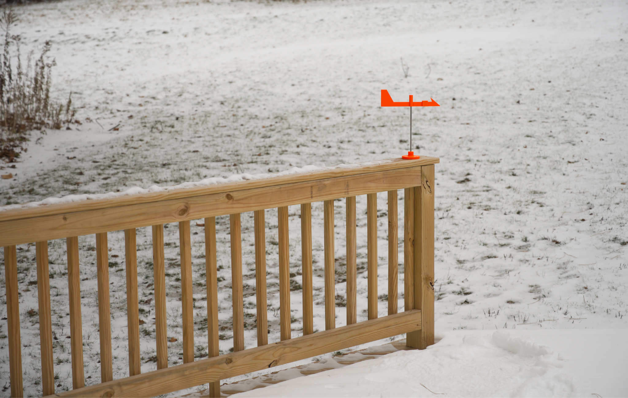 Sensitive Weathervane — miniatura 2