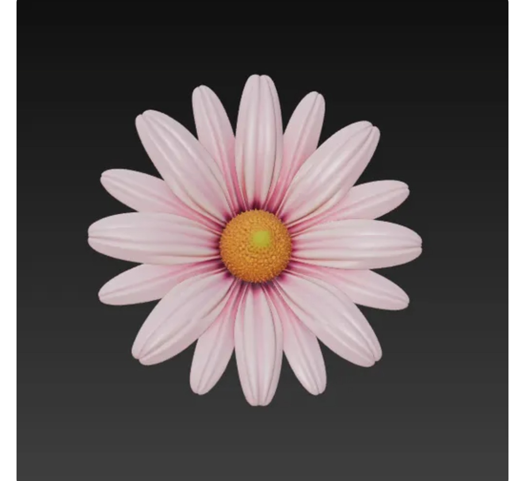 Flor margarida