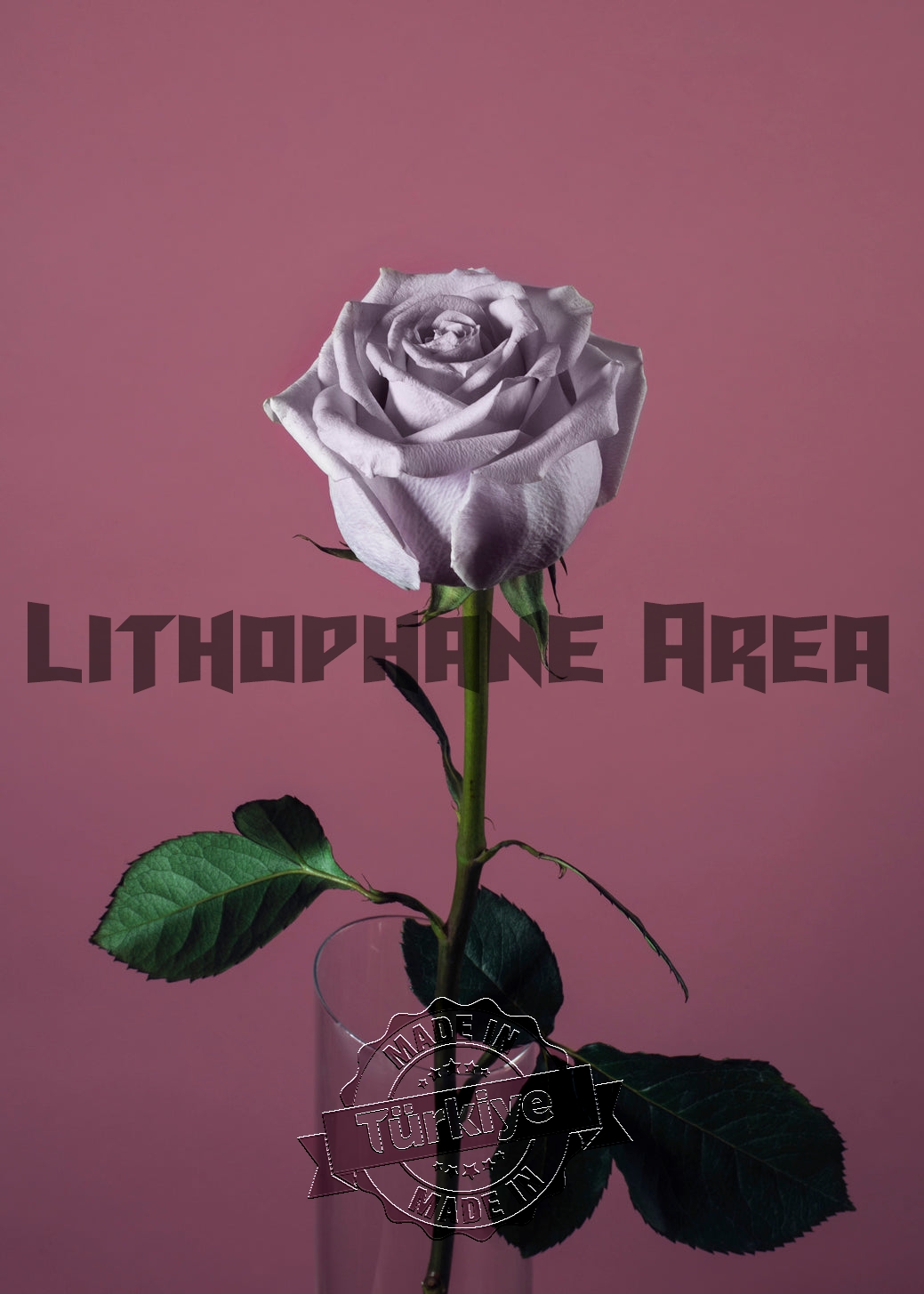 Beyaz Gül Lithophane