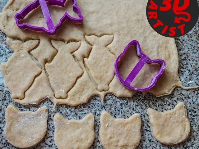 Cat and Fish Cookie cutters Set 2 models