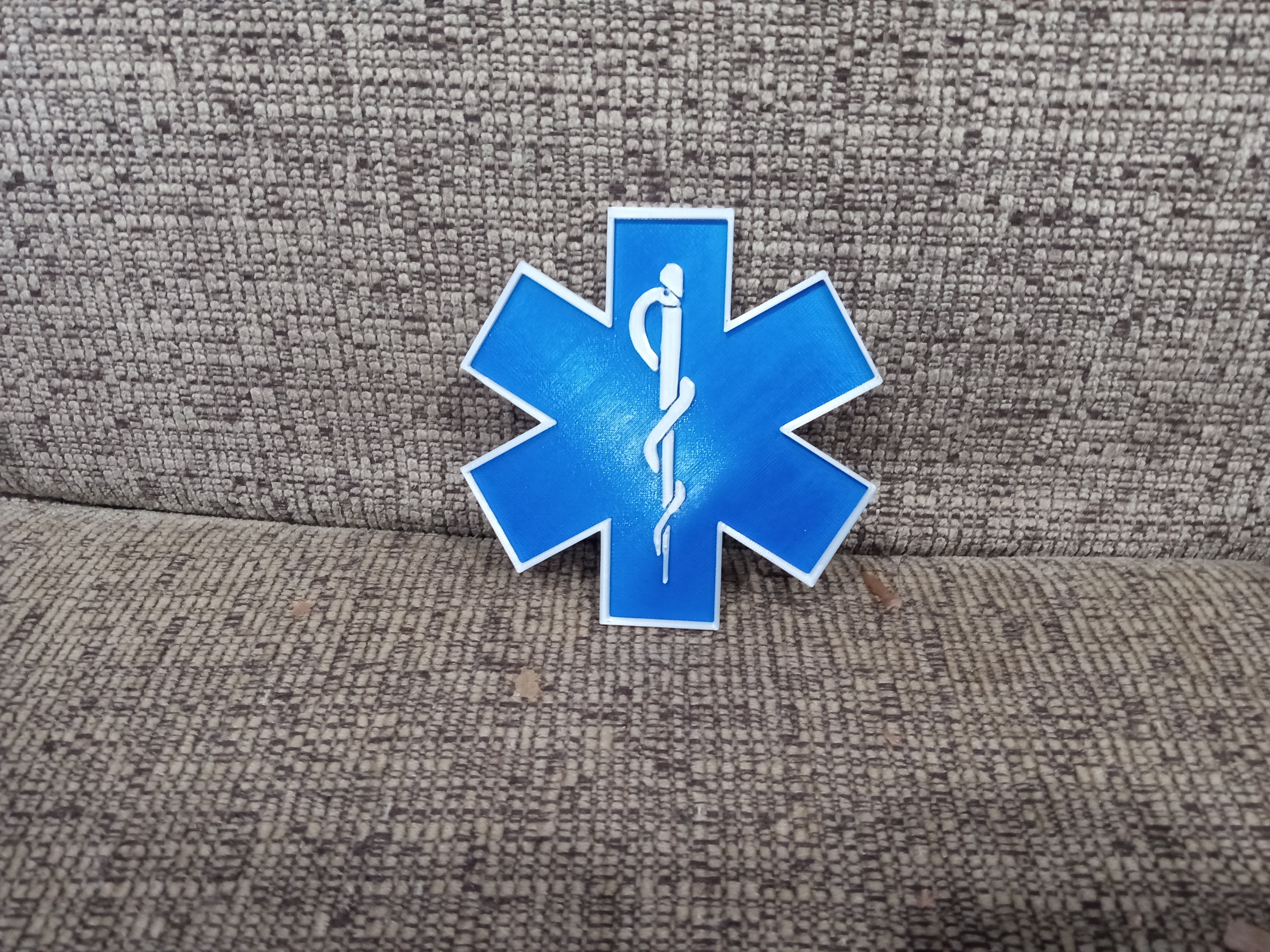 EMS Logo
