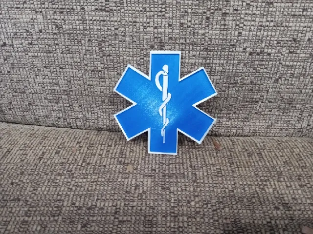 EMS Logo