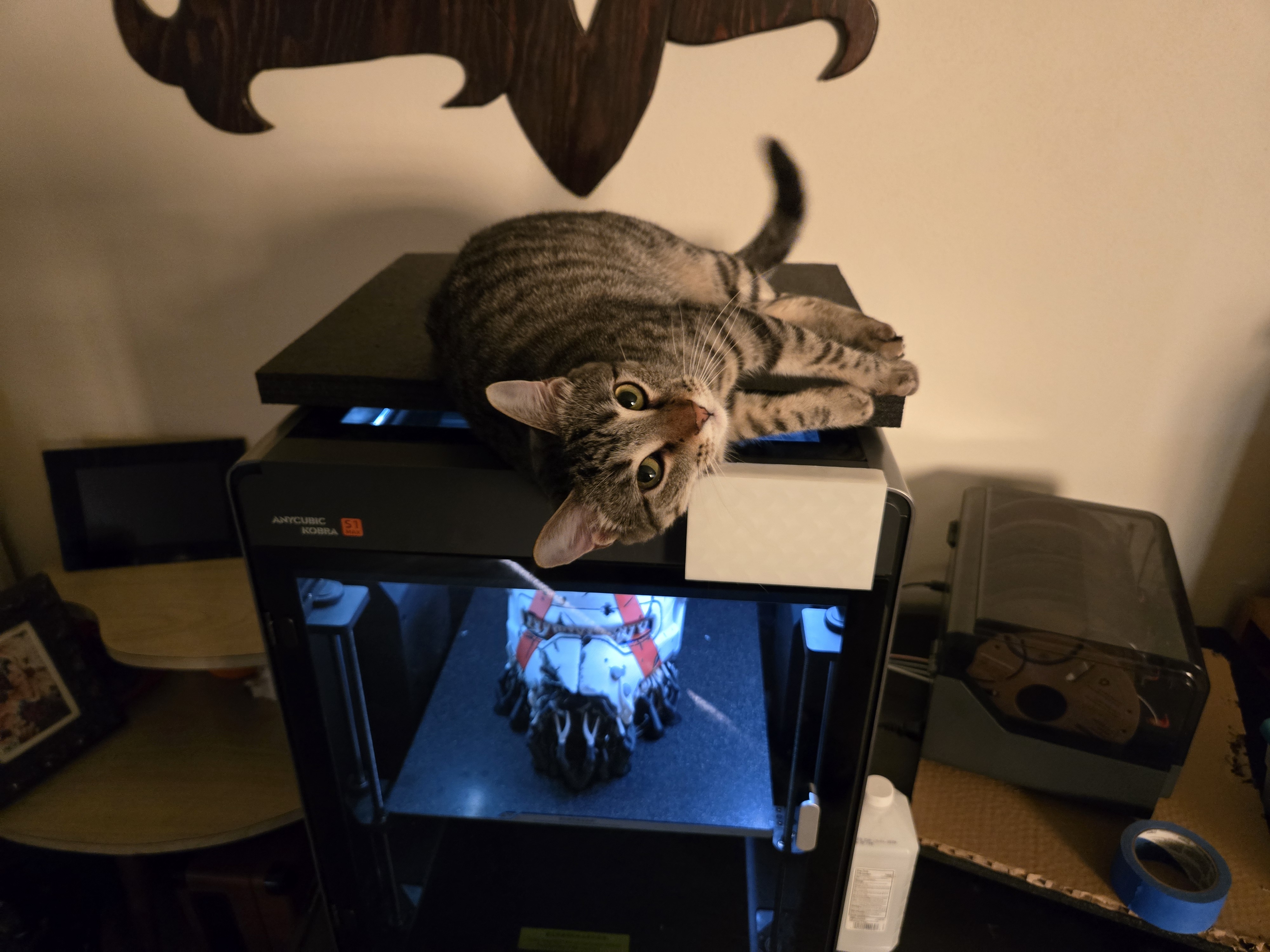 Kobra S1 Max Cat Proof Screen Cover 3D model thumbnail