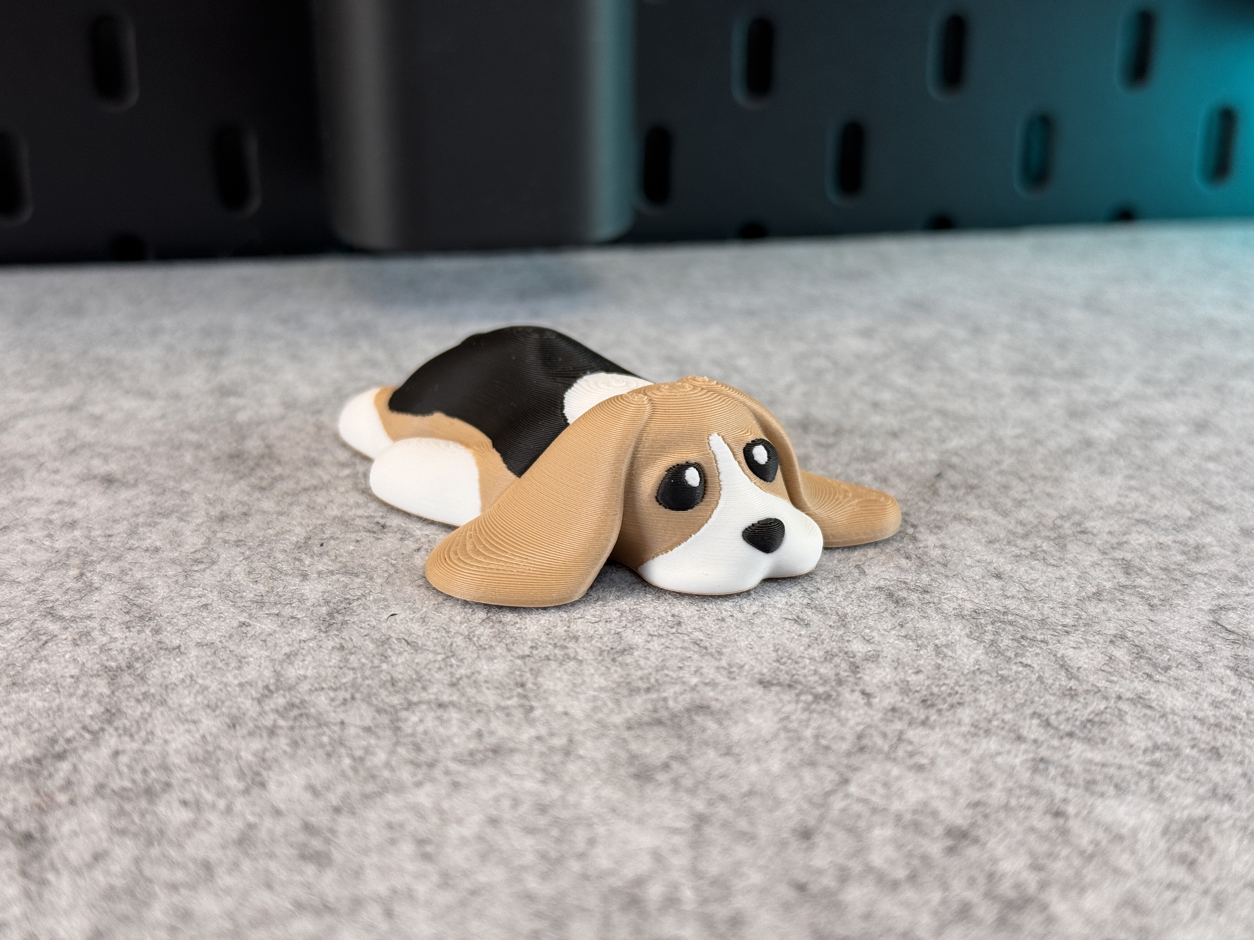 Cute Dog