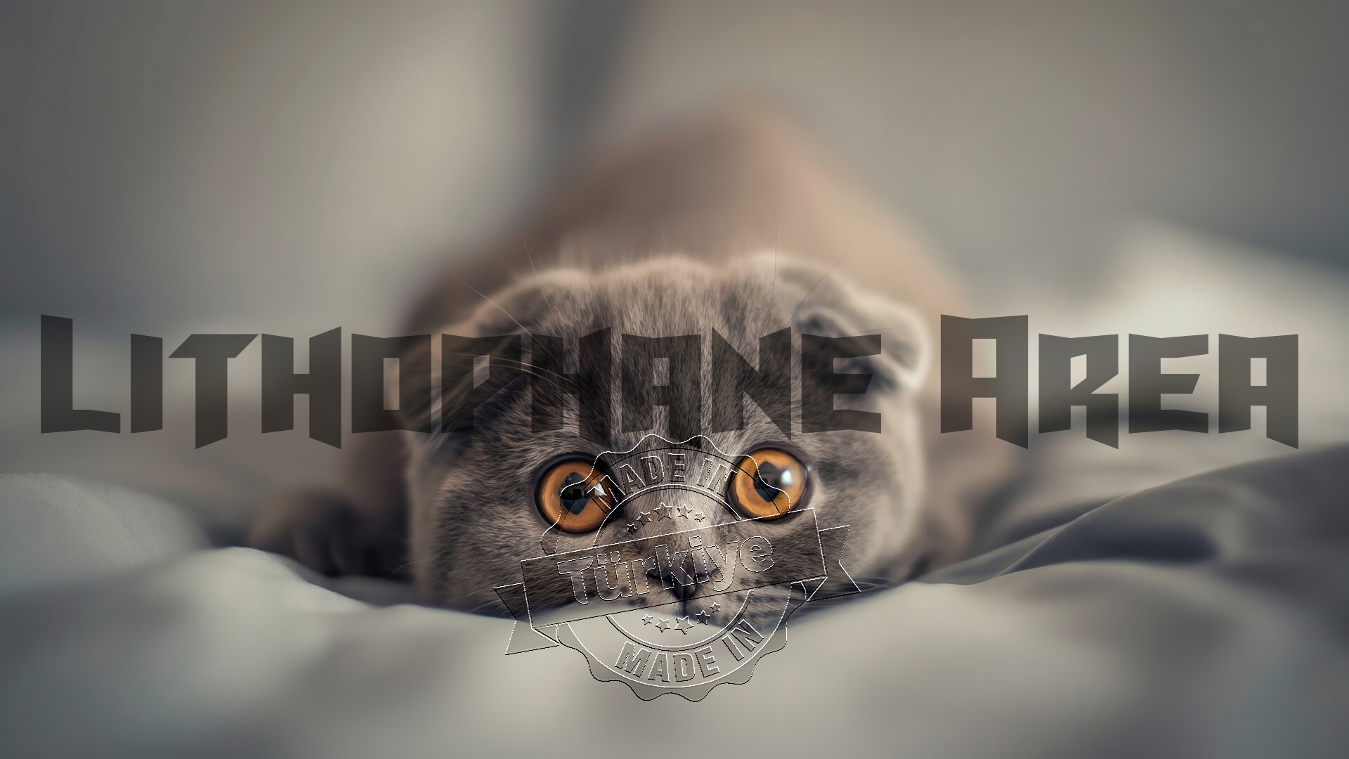 Scottishfold Kedisi Lithophane