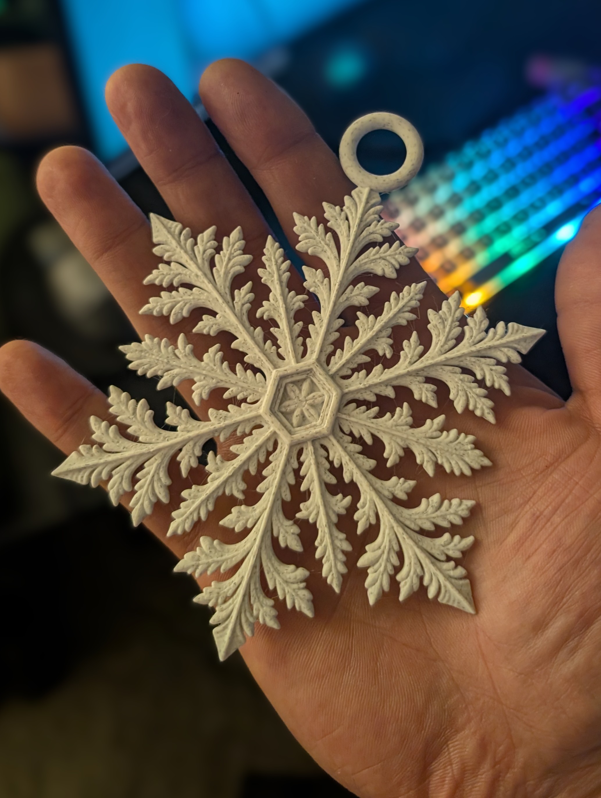 Snowflake Wall Decor and Ornament Set