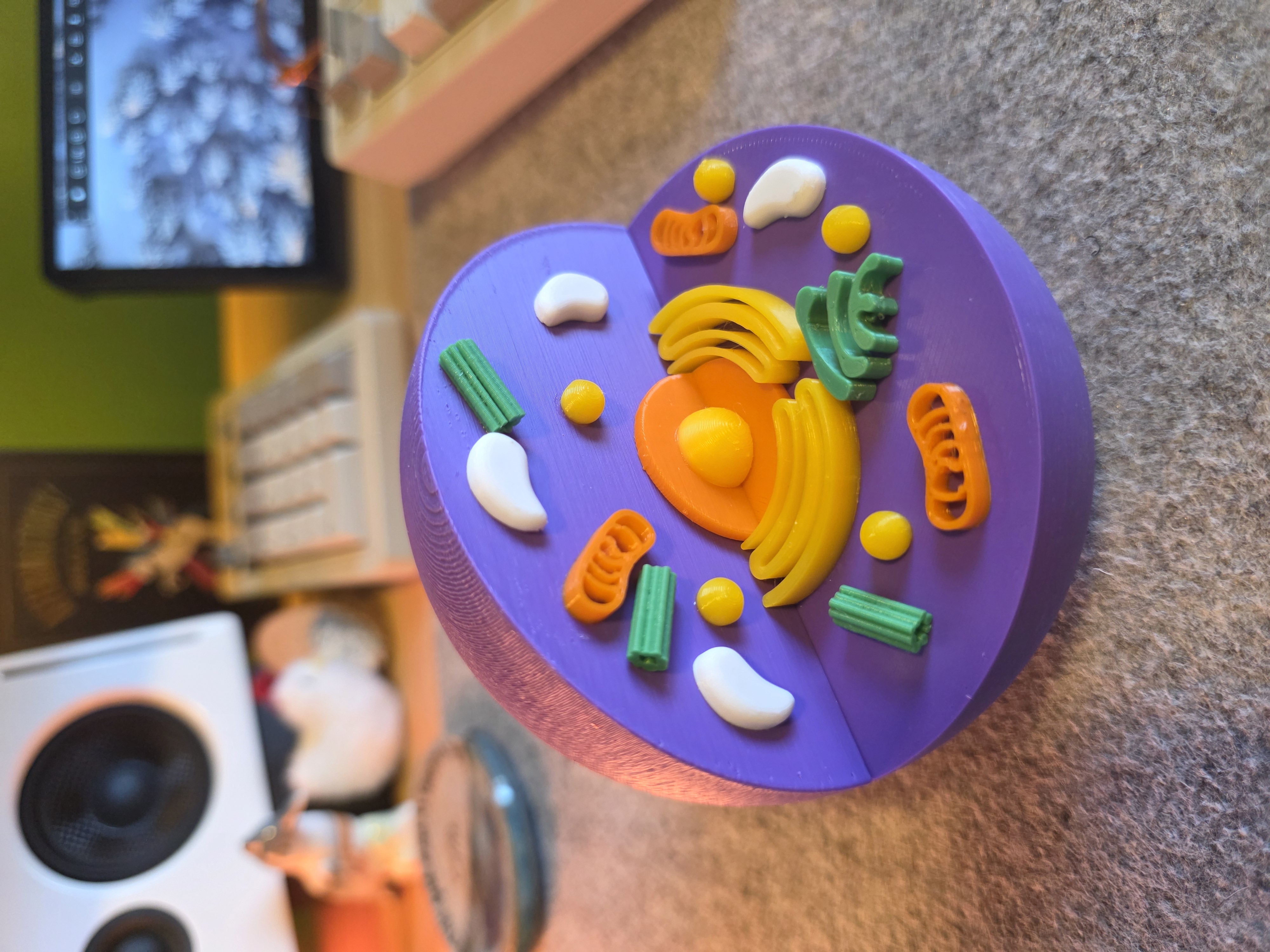 Updated outer nucleus