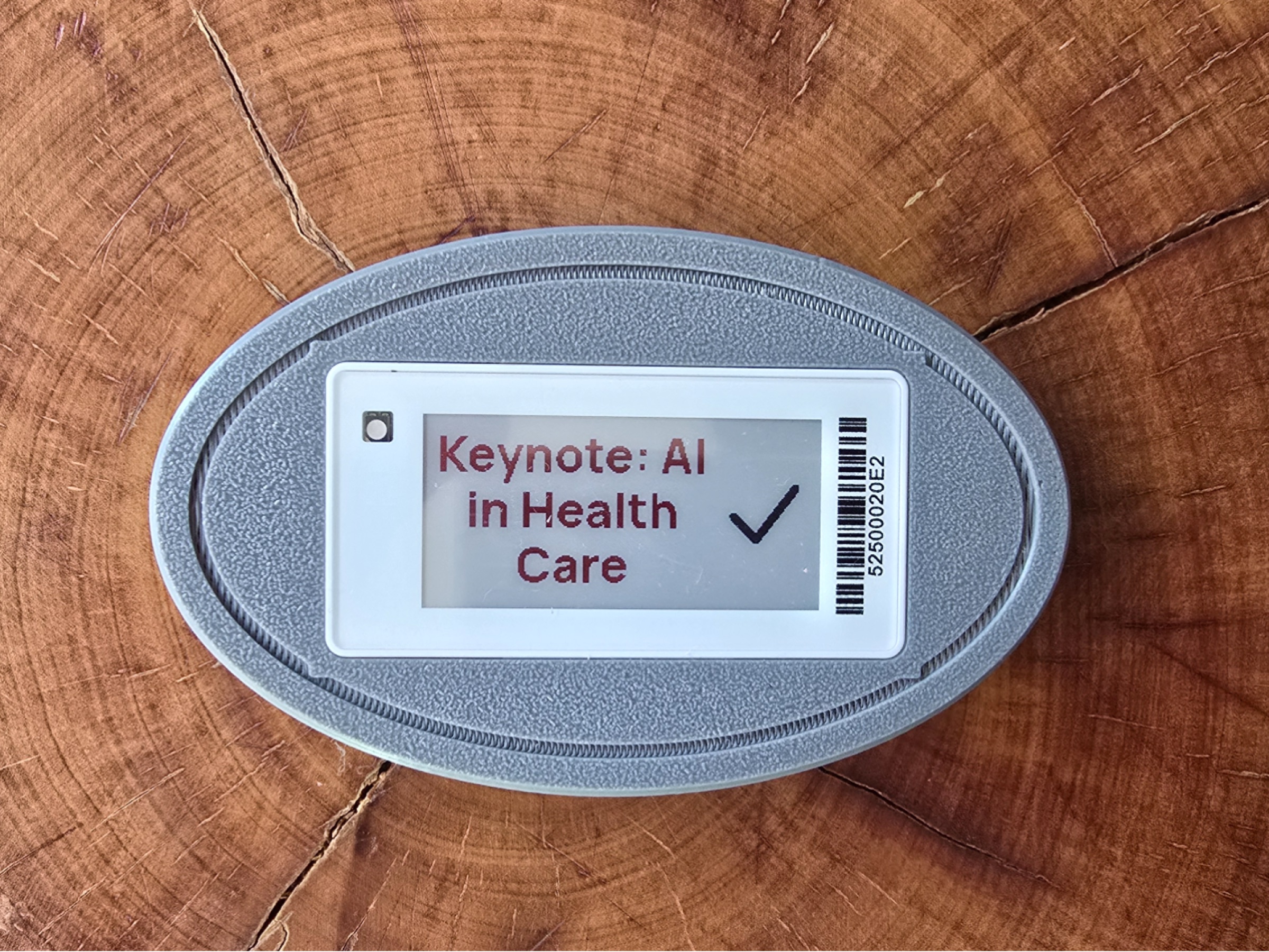 Oval plaque e-ink tag case – fridge magnet, keychain, wall & tape mount (Pingente)