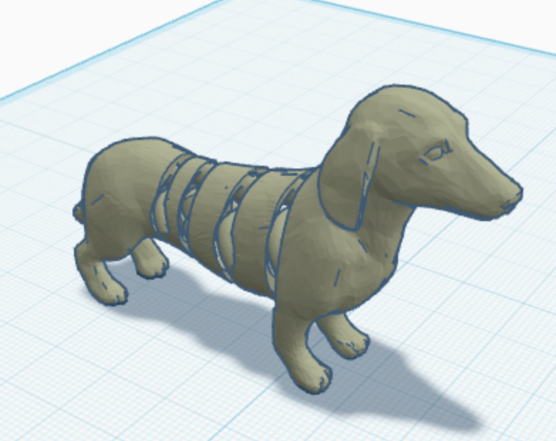 flexi daschund