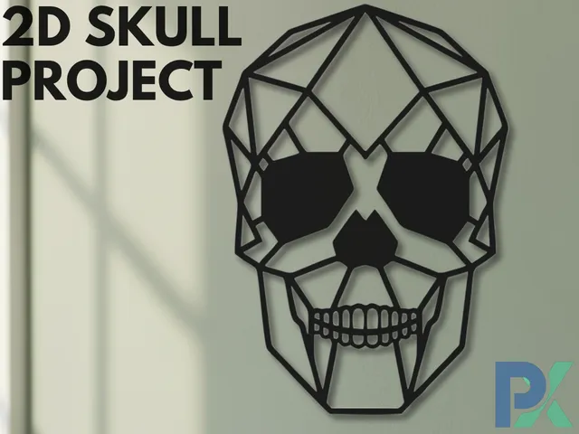 2D skull Project