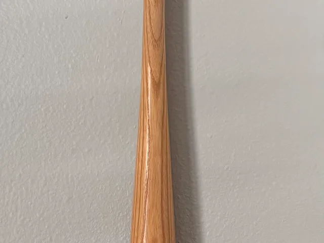 Vertical Bat and Ball Holder