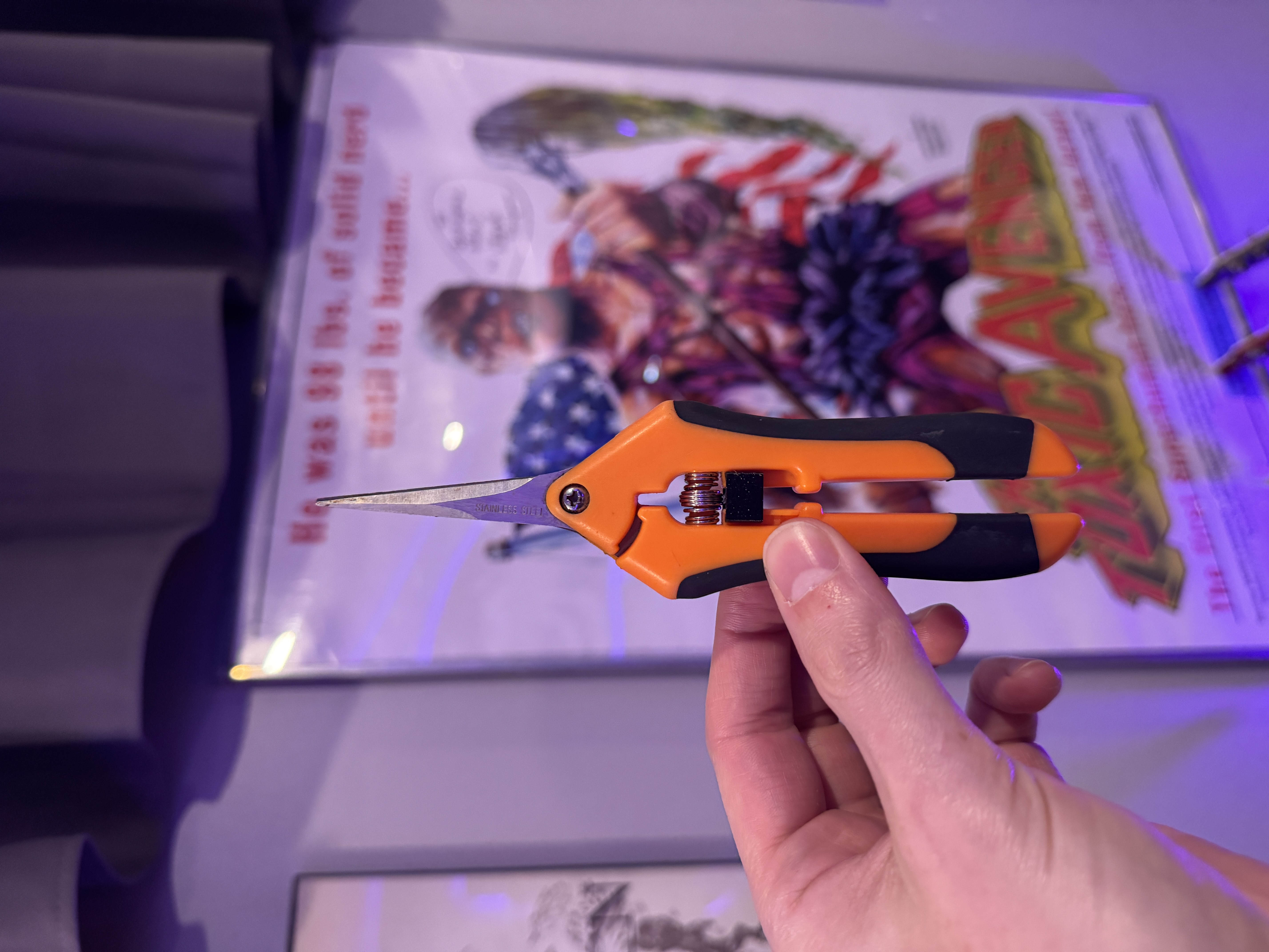 Fiskars Pruning Scissors Lock