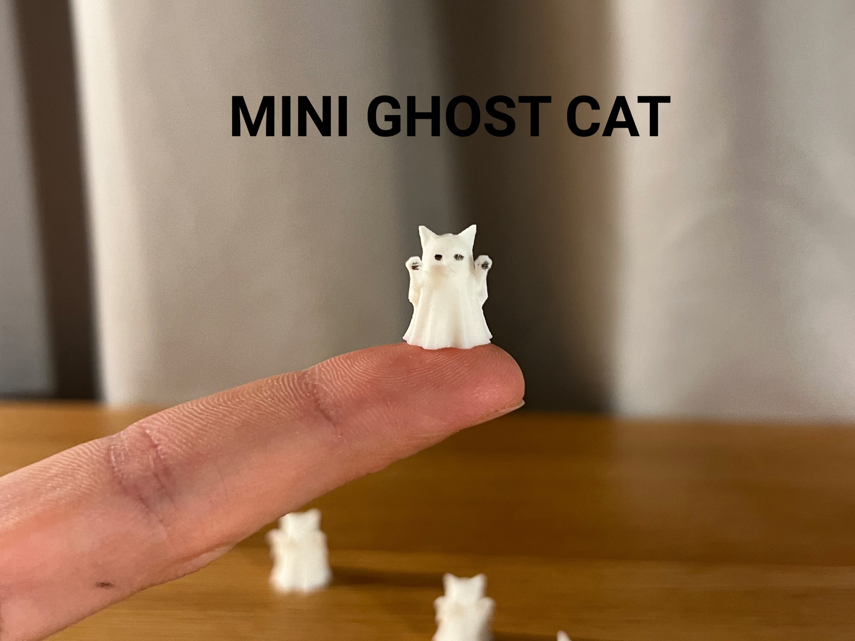 Mini Ghost Cat