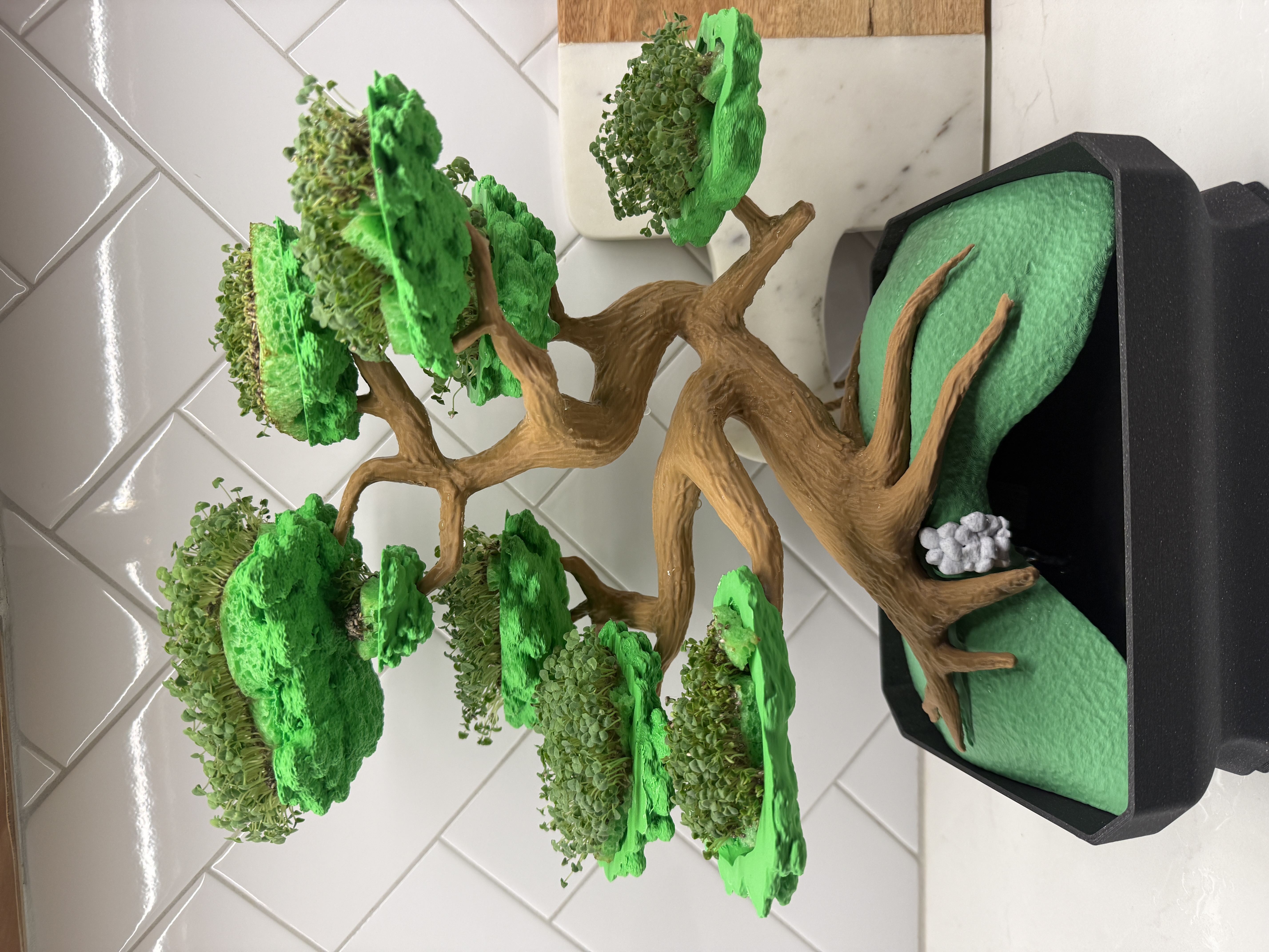 Bonsai Tree Chia Pet Fountain