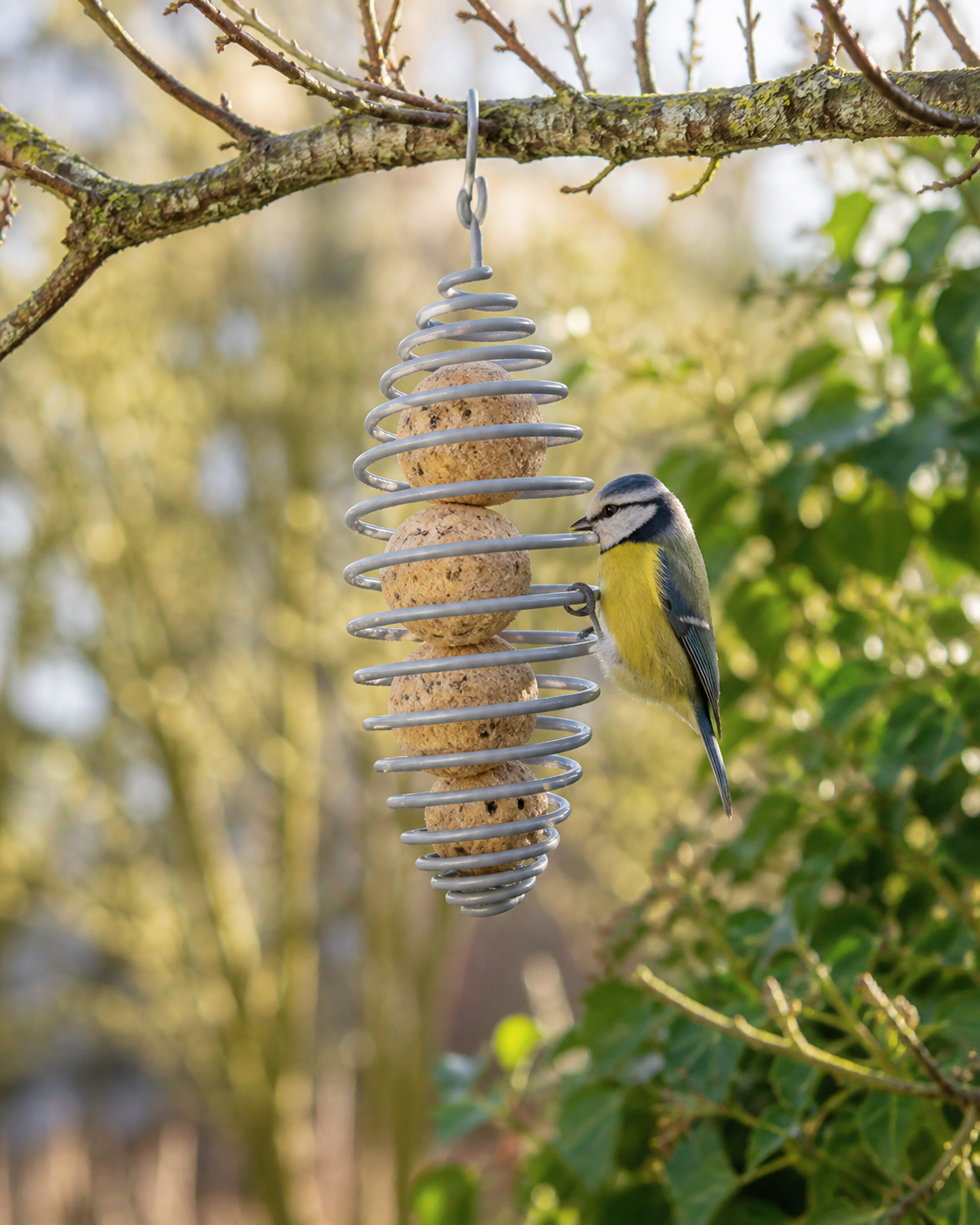 Spiral Bird Feeder for Fat Balls – Hanging Outdoor Feeder