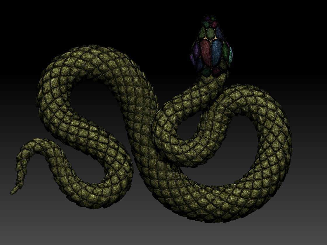SNAKE — miniatura 5