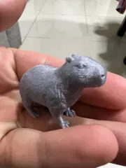 capybara