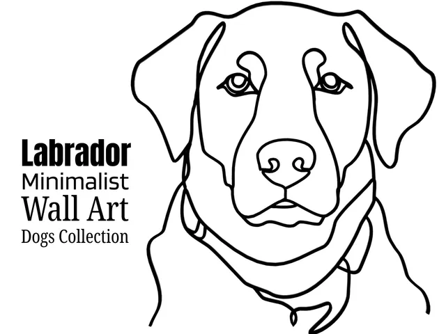 Labrador Minimalist Wall Art – Elegant Dog Silhouette Decor