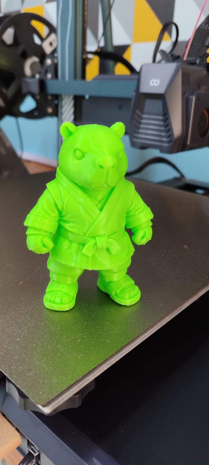 CAPIVARA DE KIMONO — miniatura 2