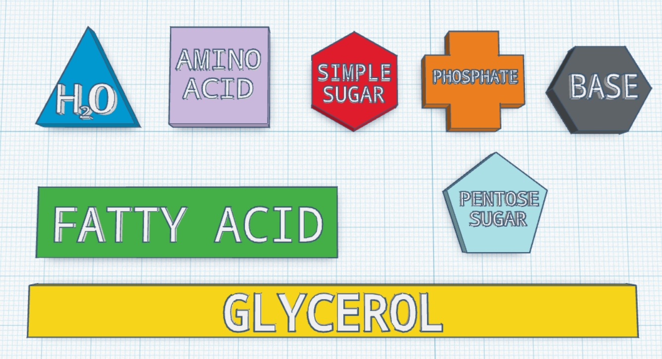 Macro Molecules - Manipulatives 3D model