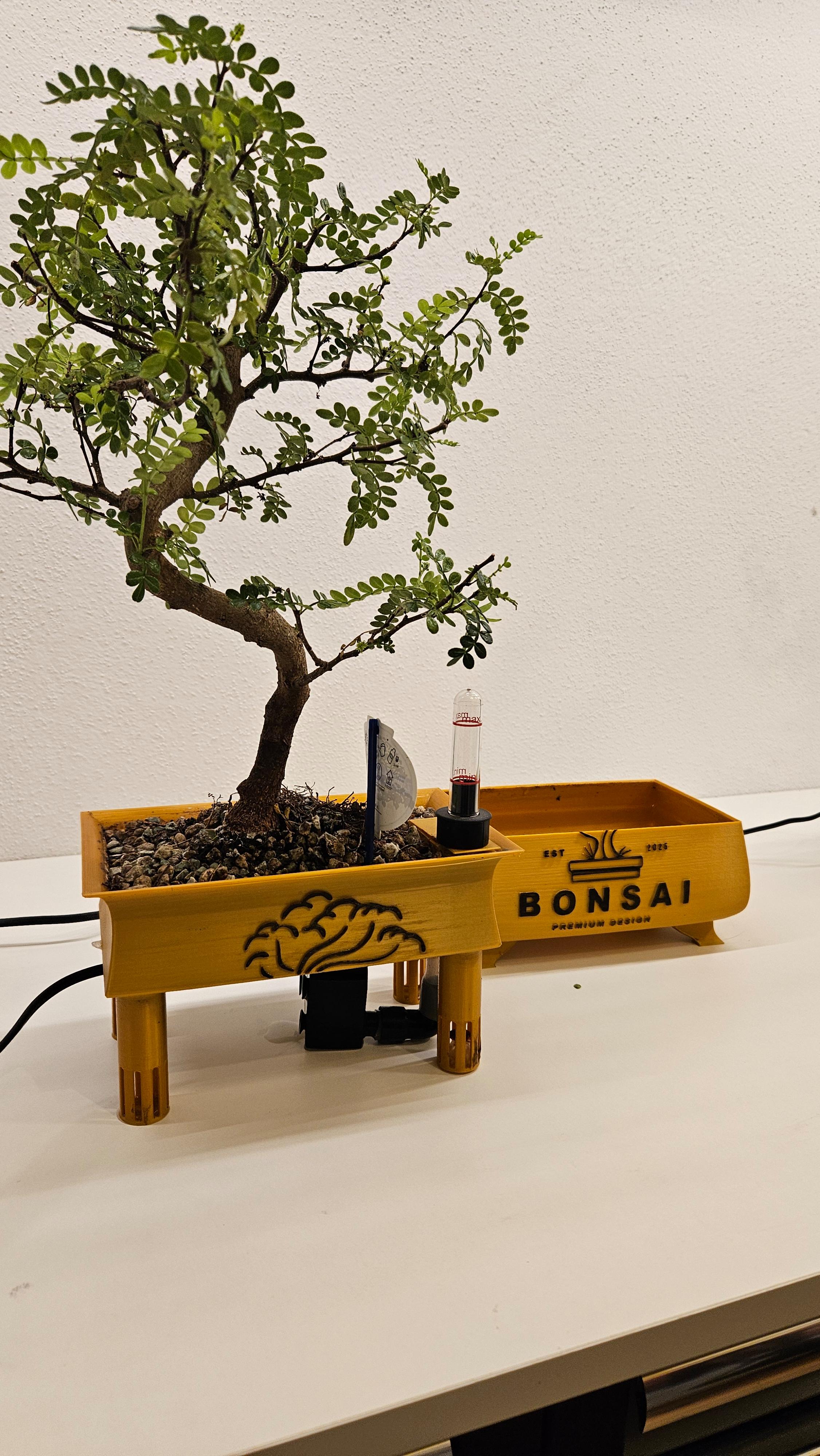 Miniatura 6 do modelo 3D Bonsaipot with automatic irrigation
