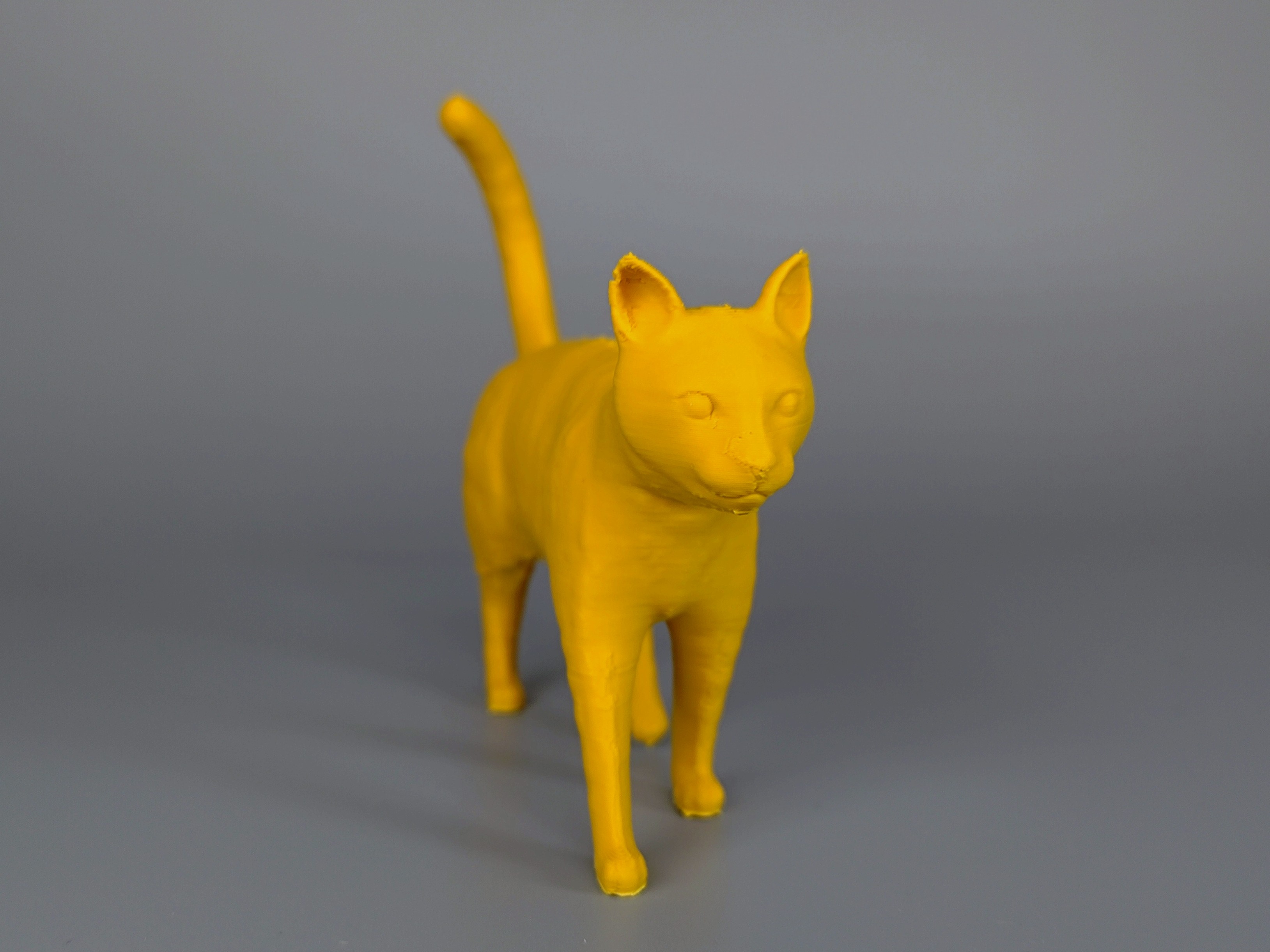 Walking Cat