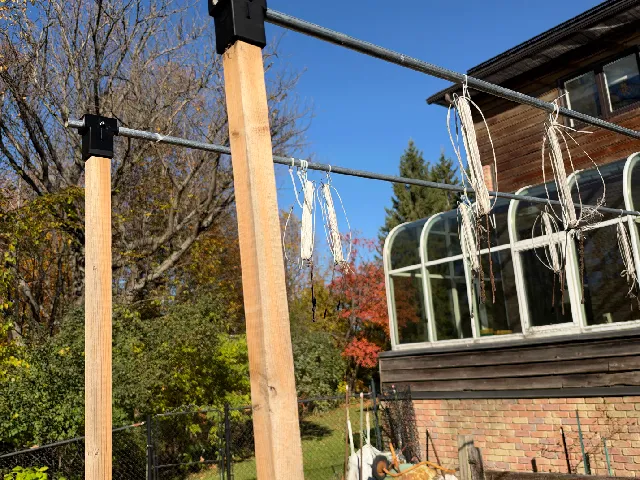 Tomato trellis 2x2 cap