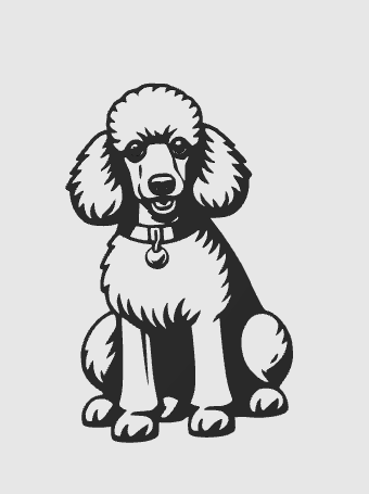 wall art poodle