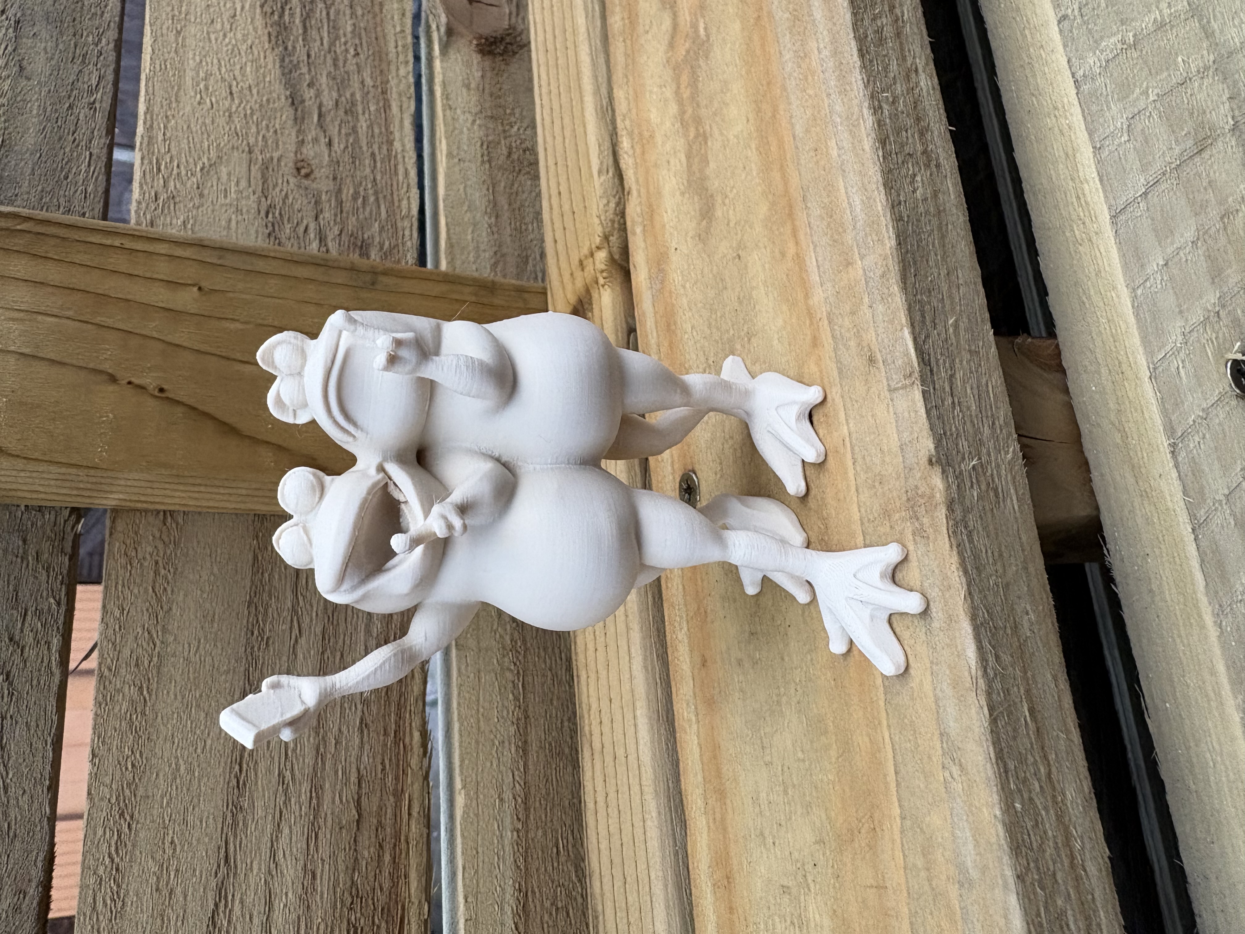 Selfie Frogs