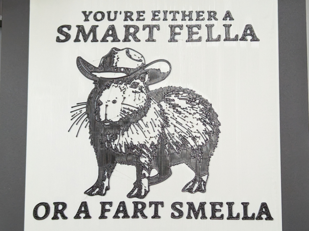 Capybara Smart Fella | Filament Painting