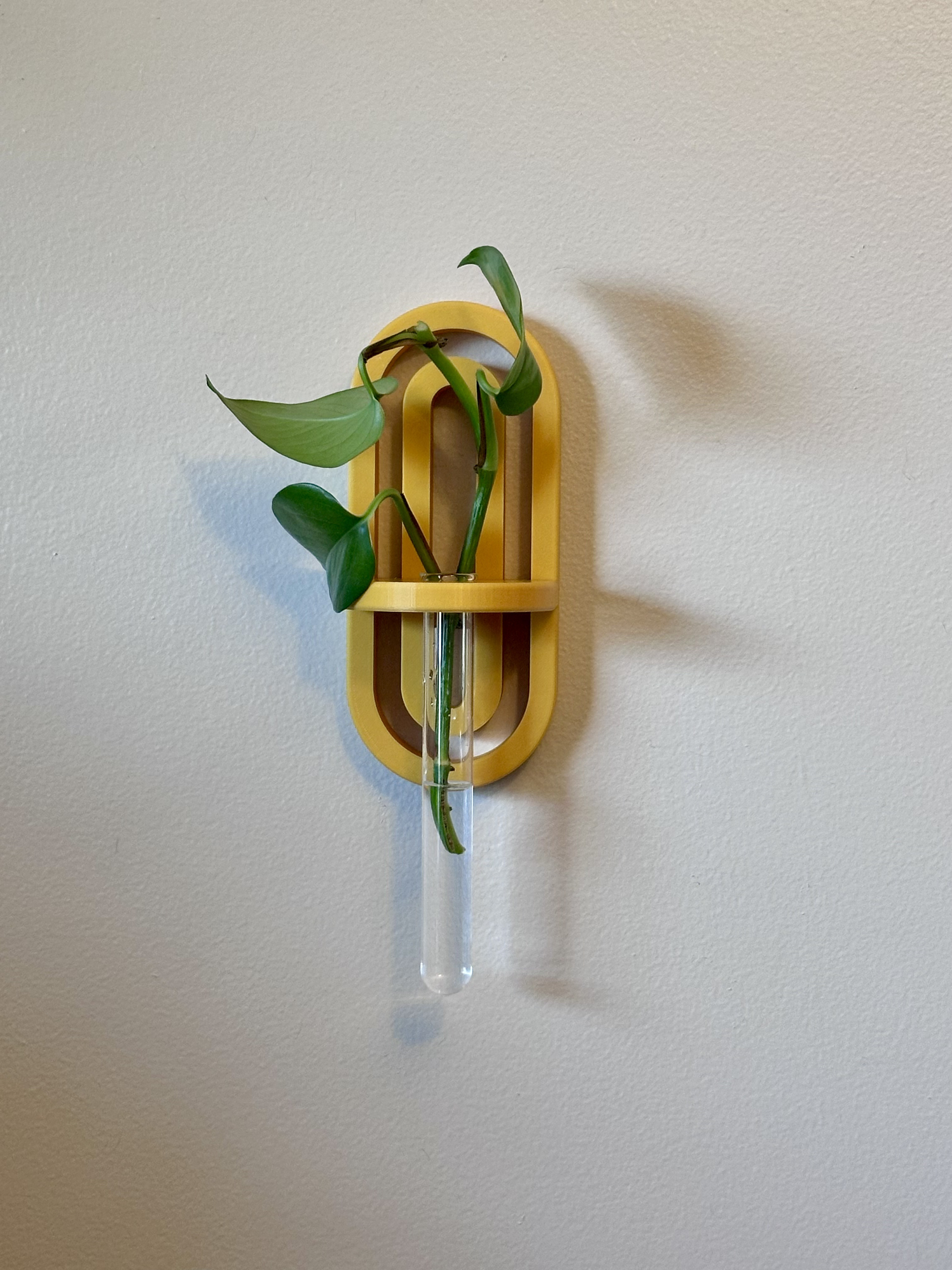 Test tube plant propagation holder