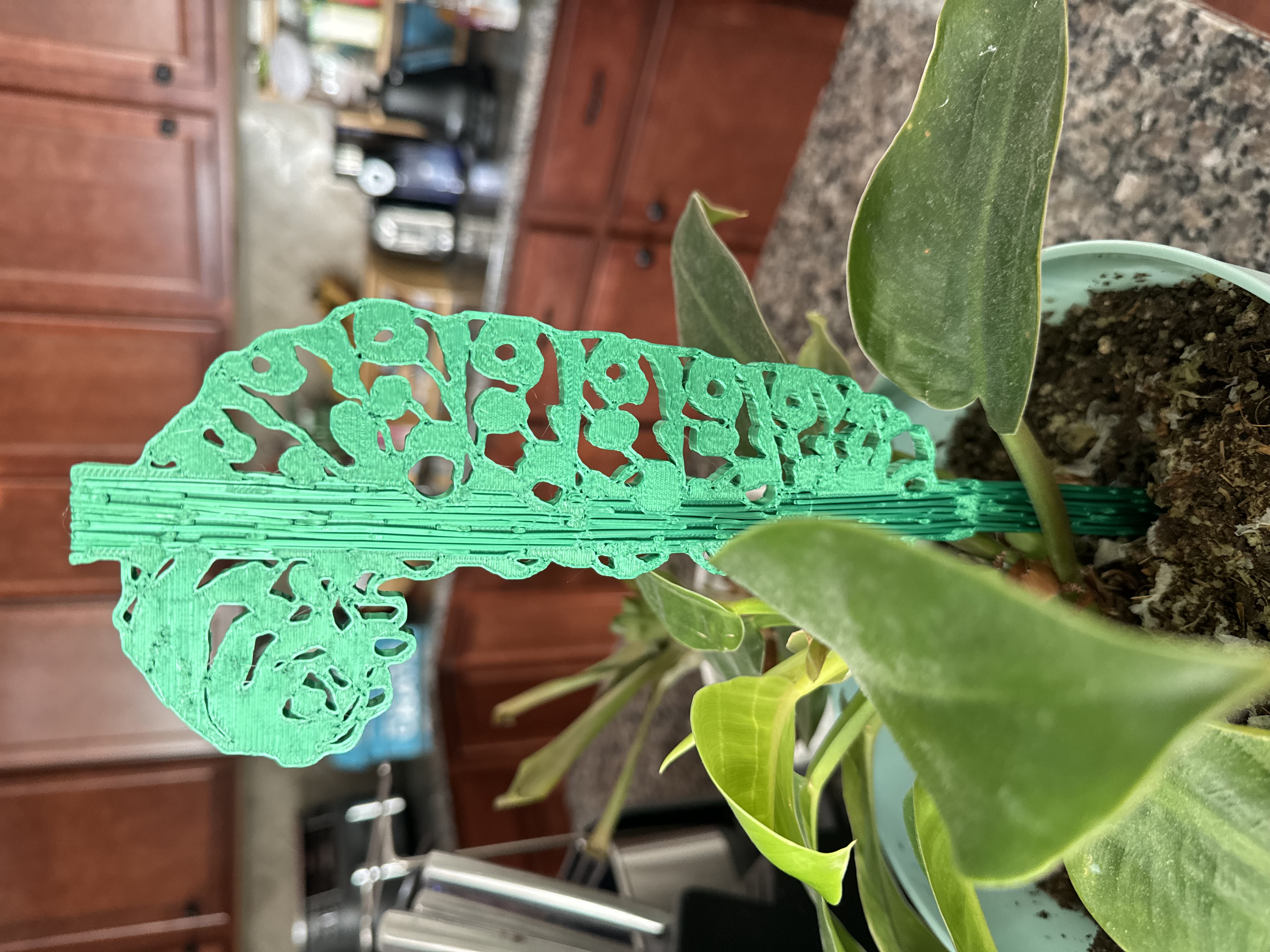 Eastern Black Swallowtail Caterpillar Plant Stake
