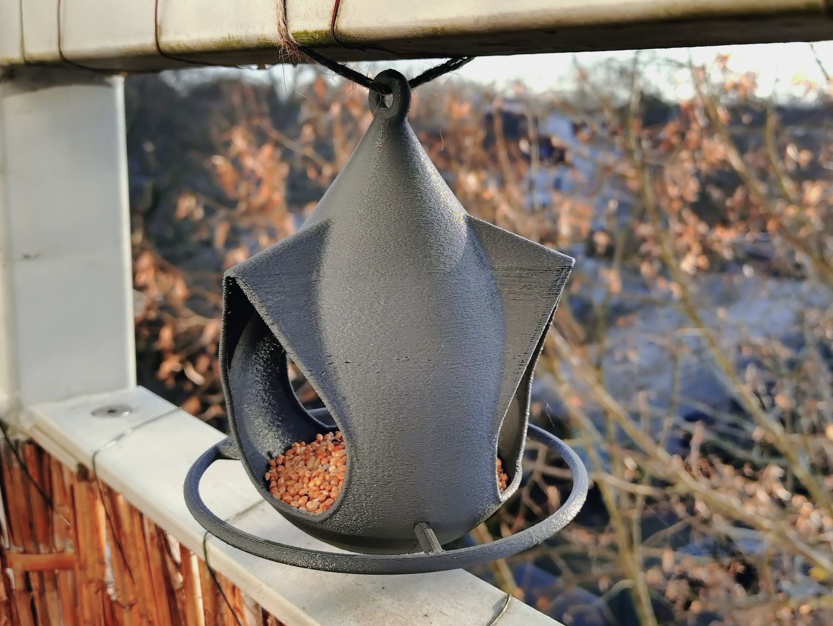Bird Feeder