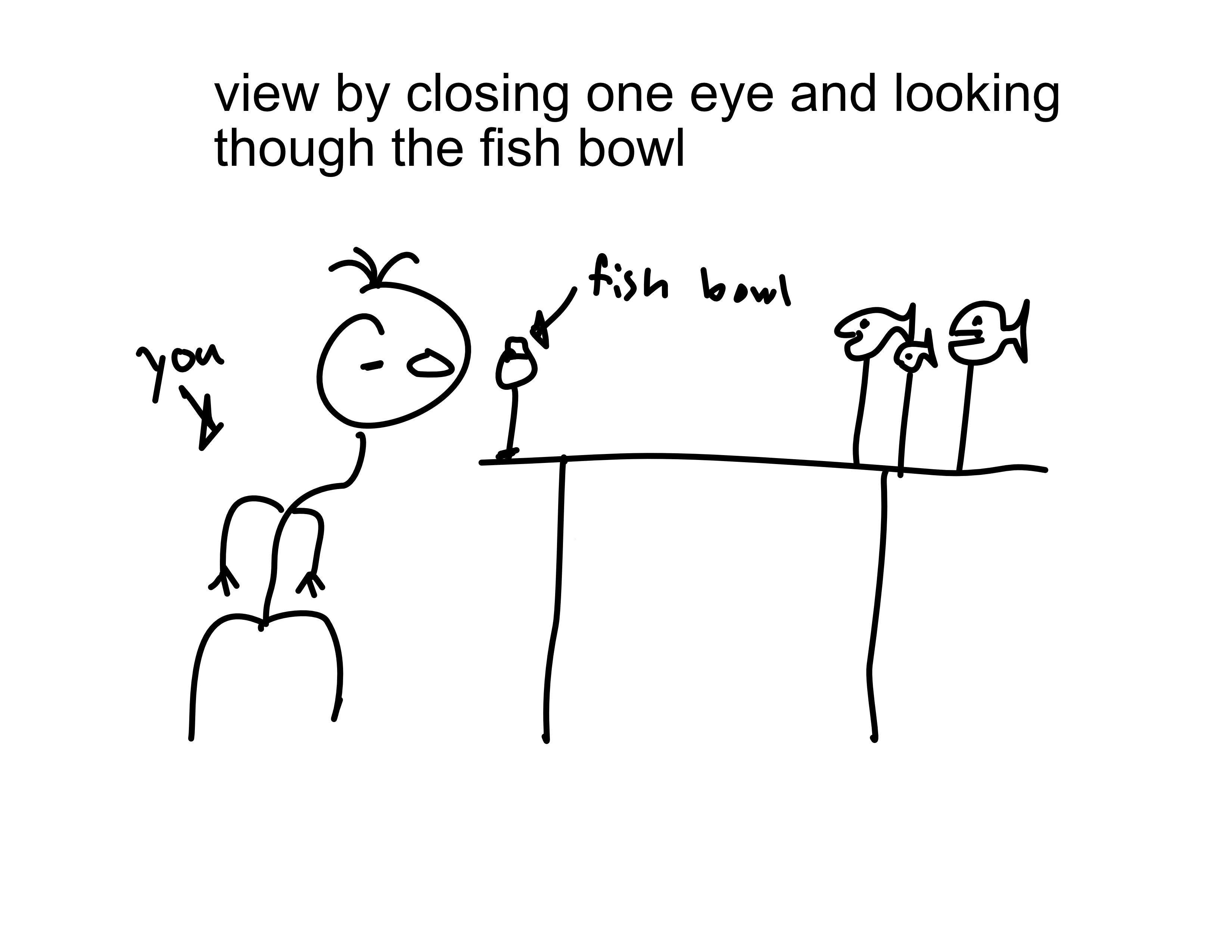 Streched Perspective Fish — miniatura 3