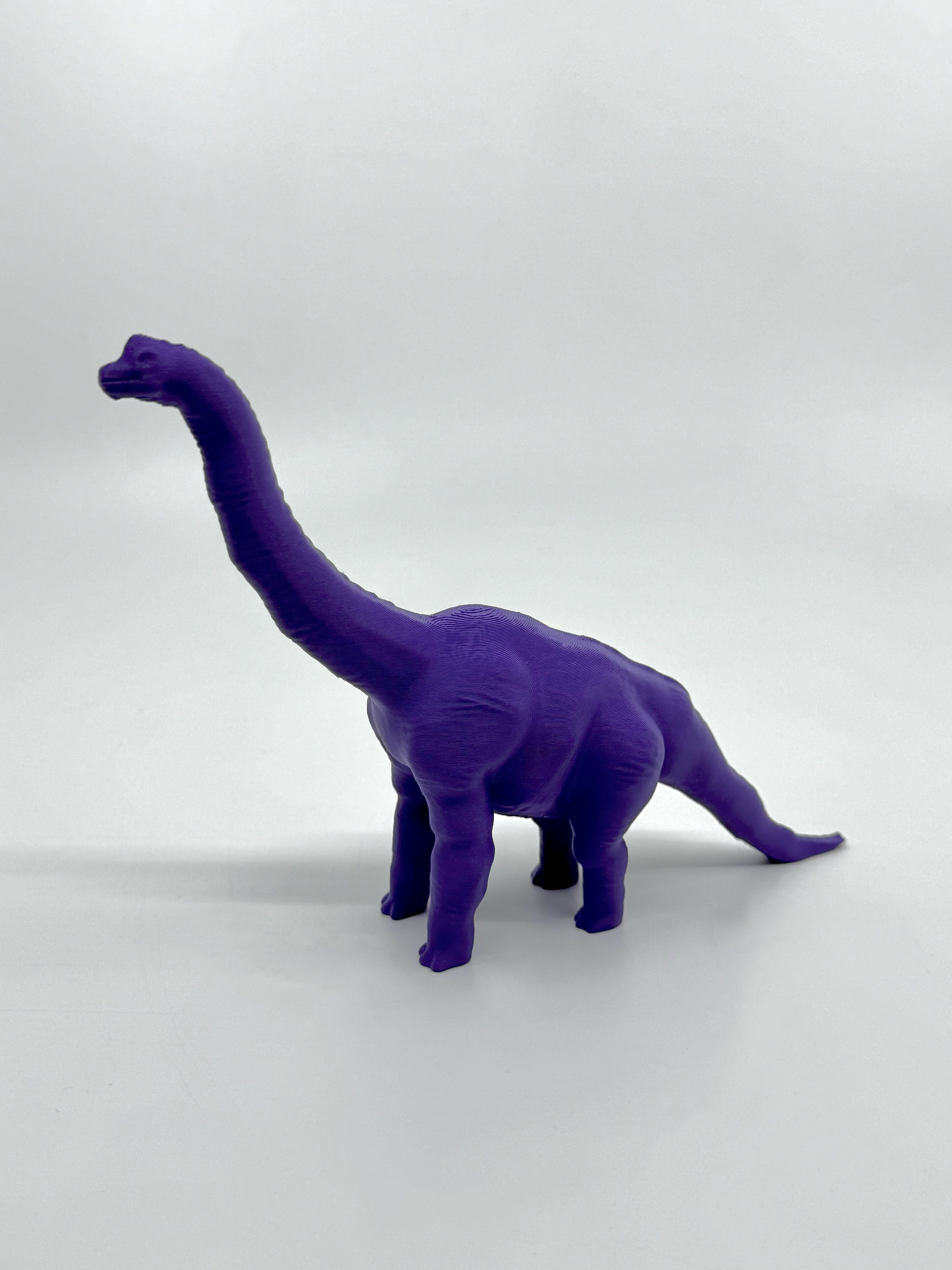 Brachiosaurus