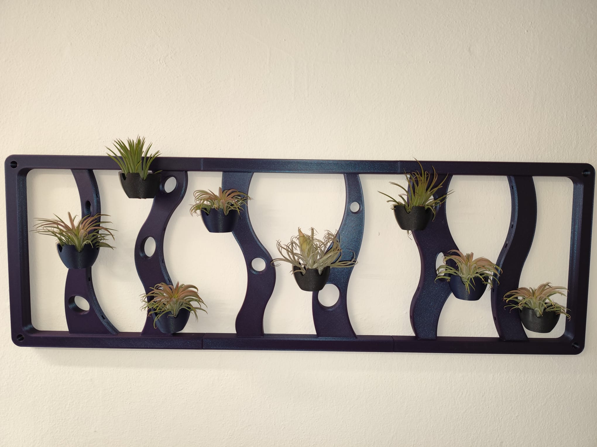Tillandsia air plant wall holder and decoration / Držák na tillandsie vzdušné rostliny