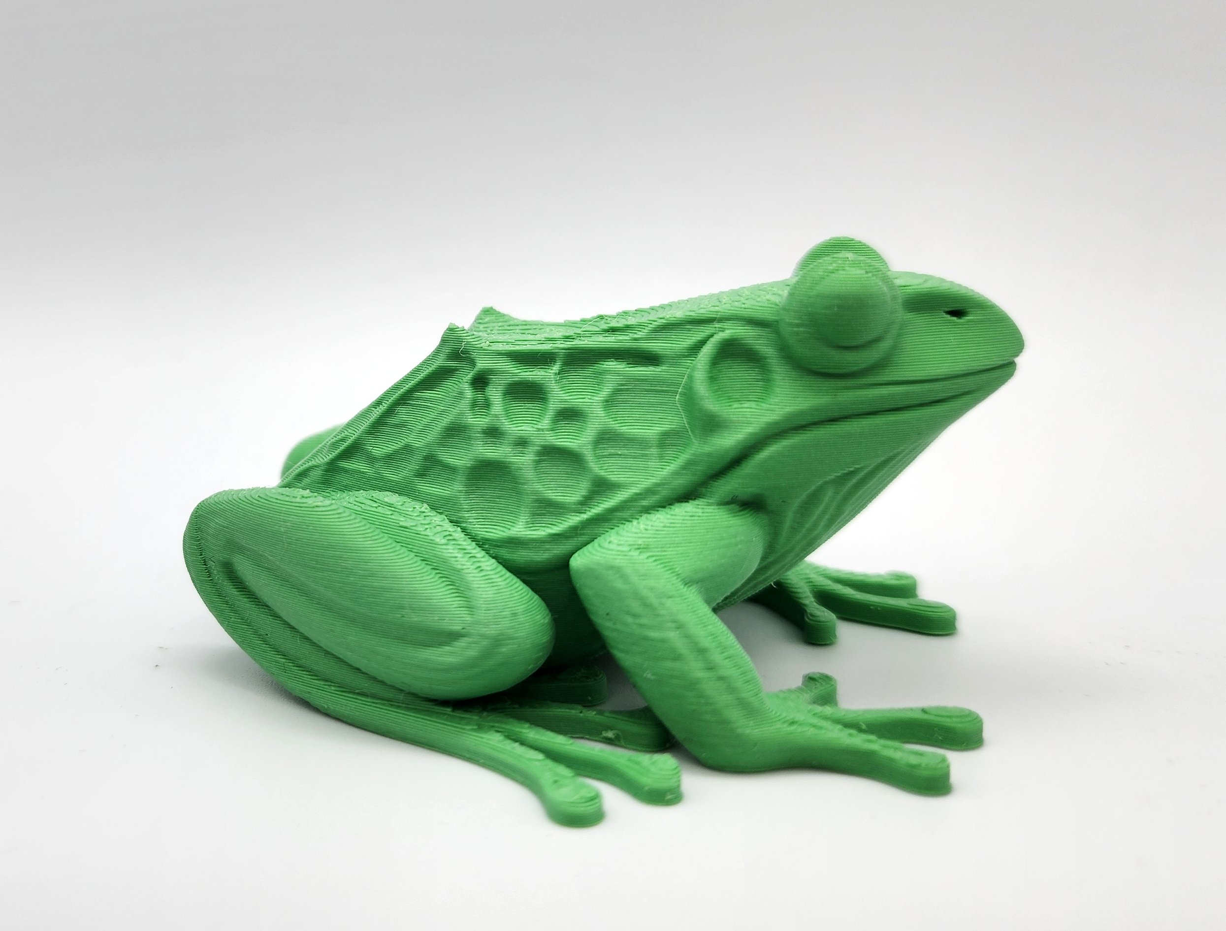 Miniatura 3 do modelo 3D Realistic Frog