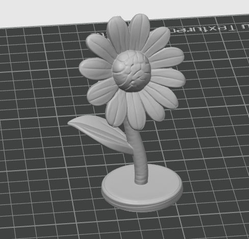Daisy — miniatura 2