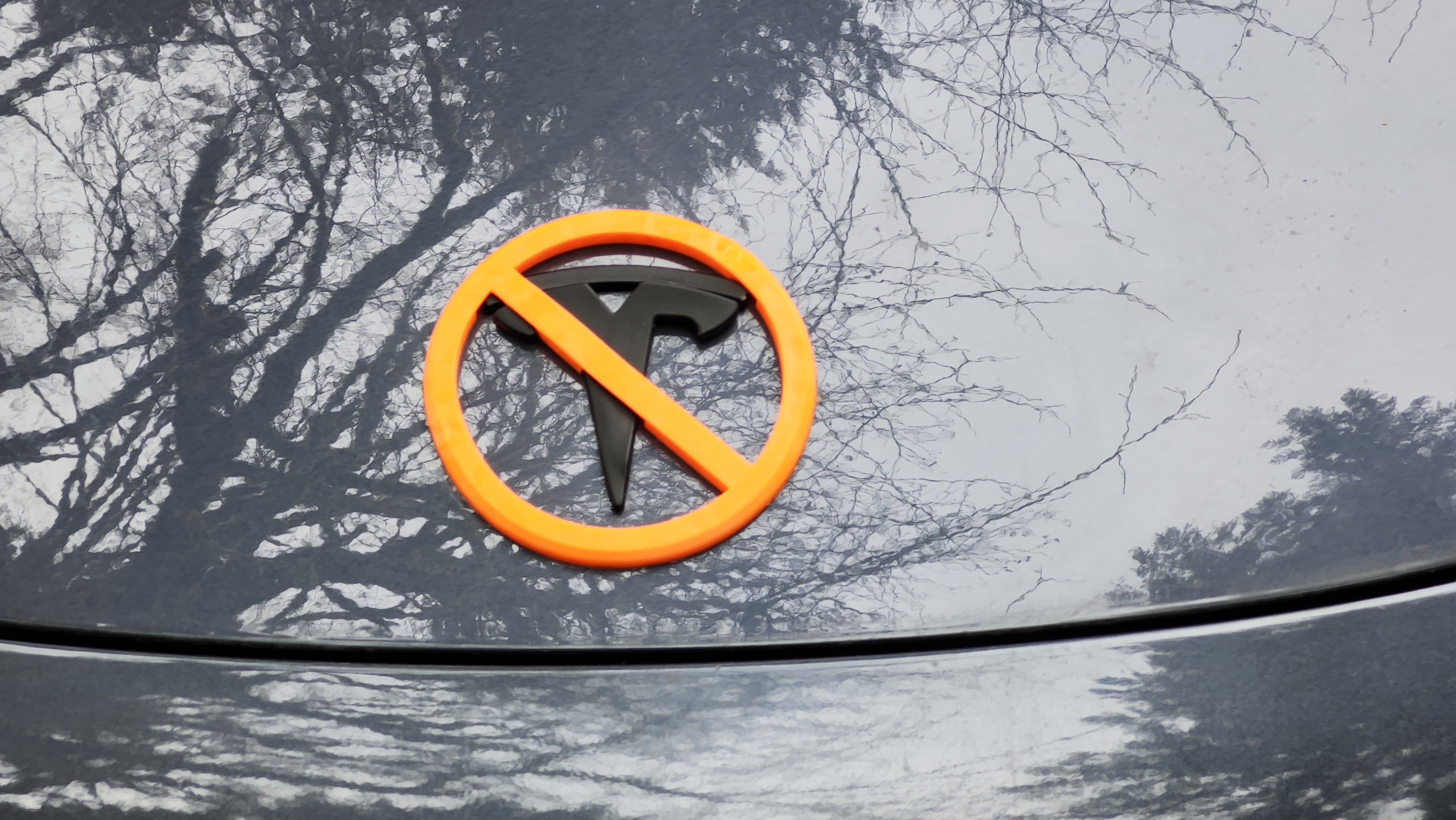 NO TESLA Logo Cover
