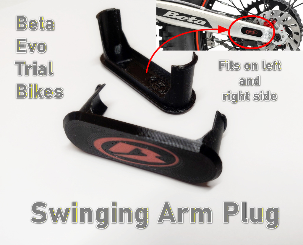 Beta Evo Trial Swinging Arm Plug