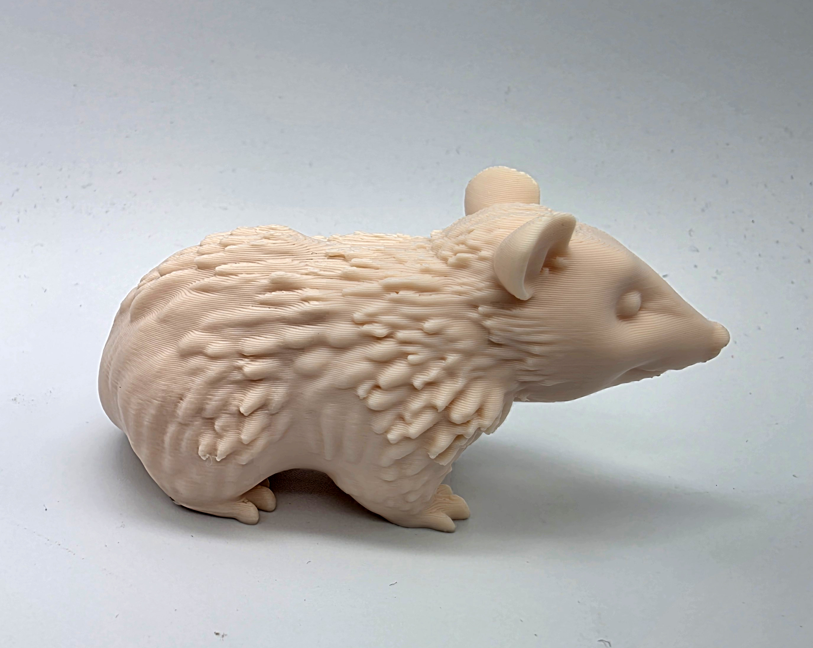 Miniatura 4 do modelo 3D Opossum